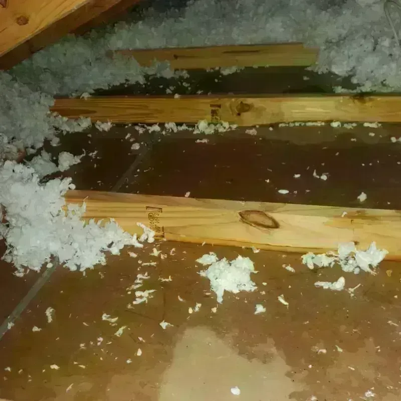 Attic Water Damage in Kaufman, TX