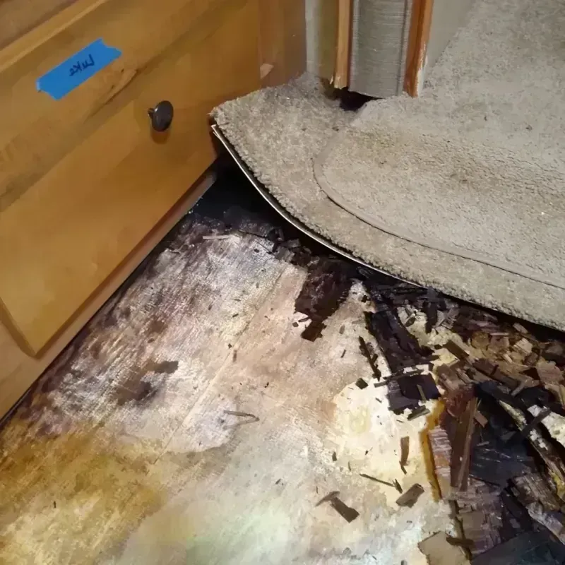 Wood Floor Water Damage in Kaufman, TX